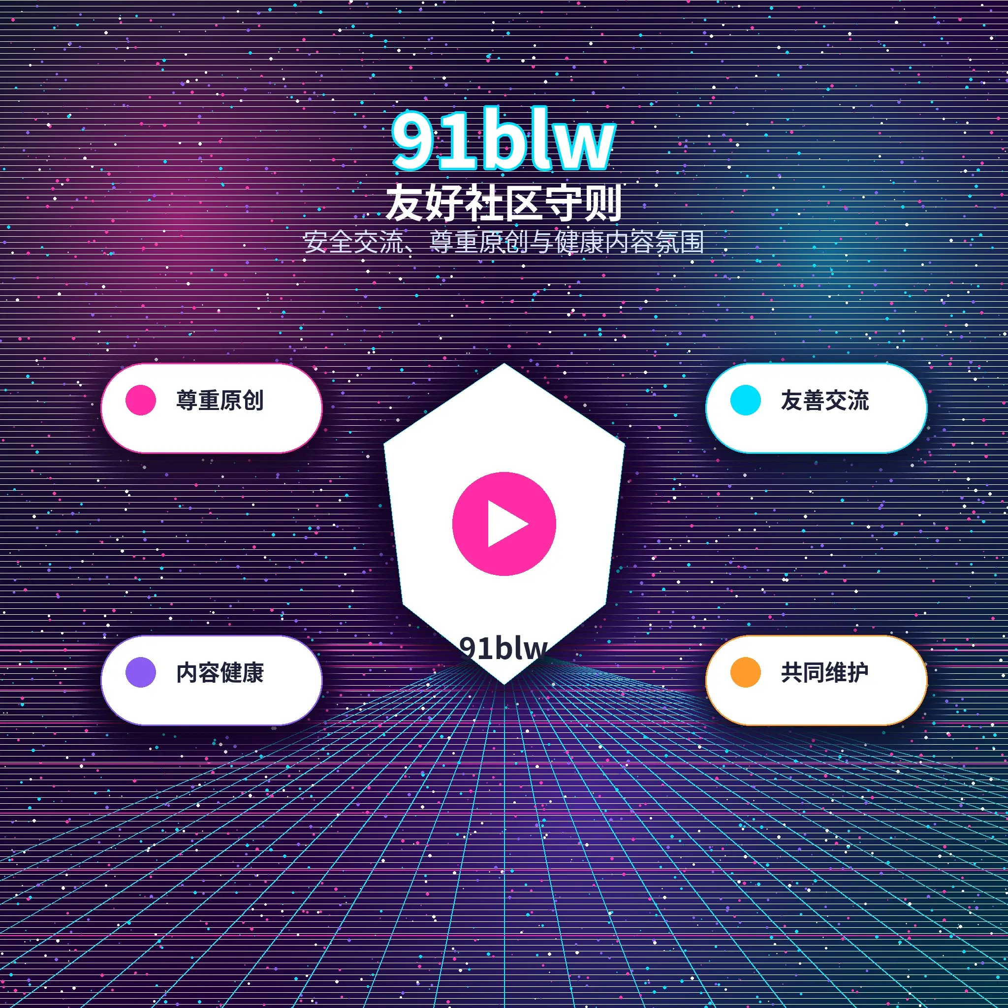 91网兴趣社区影像内容